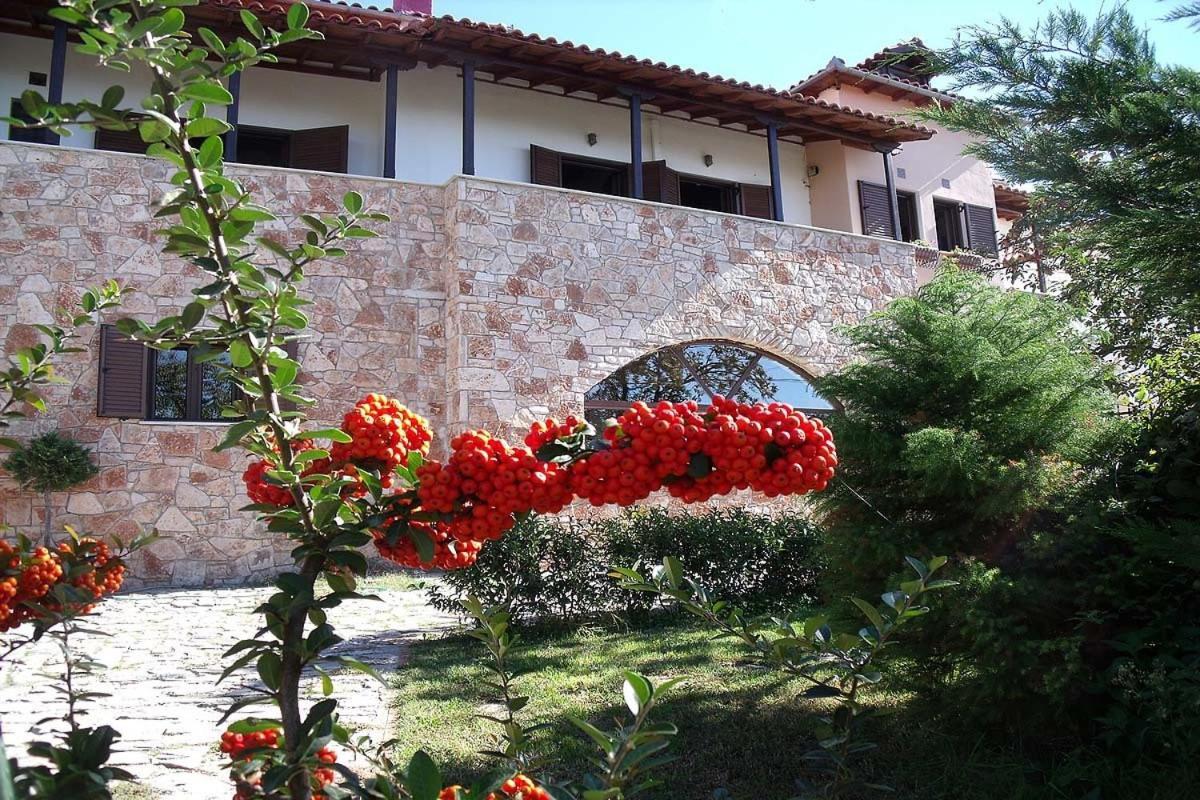 Klio Guesthouse Portariá Kültér fotó