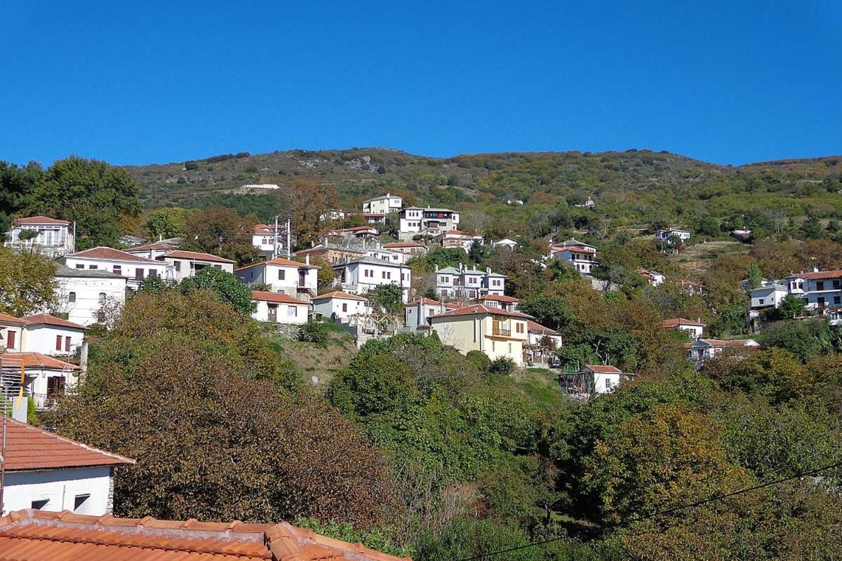 Klio Guesthouse Portariá Kültér fotó